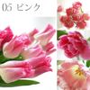 チューリップの花束 ・50本 生花