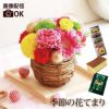 季節の花てまり 生花