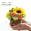 季節の花てまり 生花