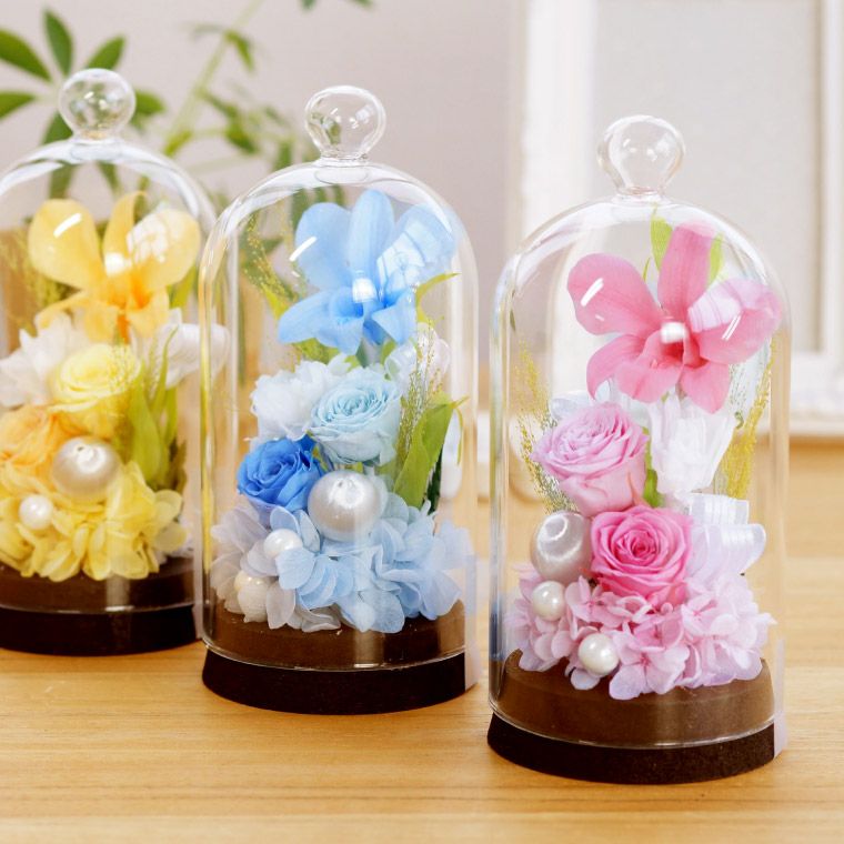 お供え花ドーム 対 プリザーブドフラワー