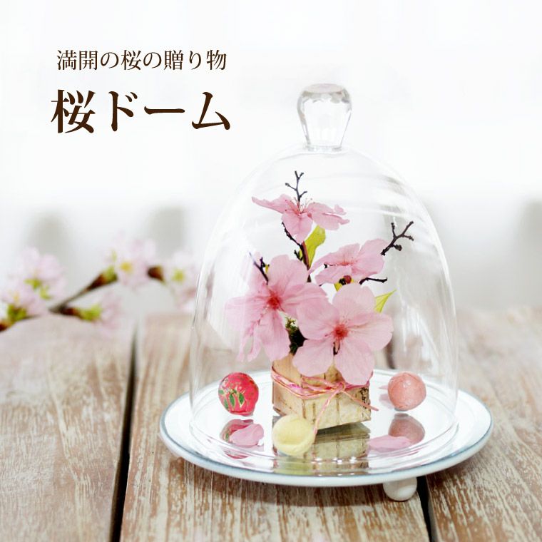桜 ドーム プリザーブドフラワー
