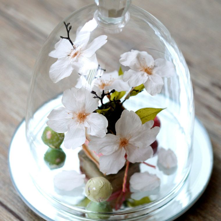 桜 ドーム プリザーブドフラワー