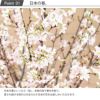 桜の花束 生花