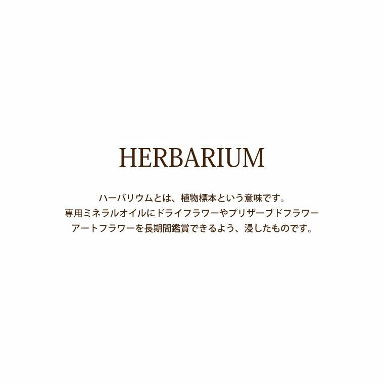 桜 ハーバリウム ボールペン＆カードケースセット 替え芯付き