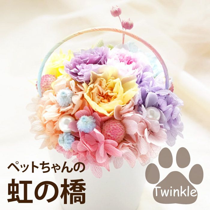 ペットちゃんの虹の橋 Twinkle トゥインクル お供え プリザーブドフラワー