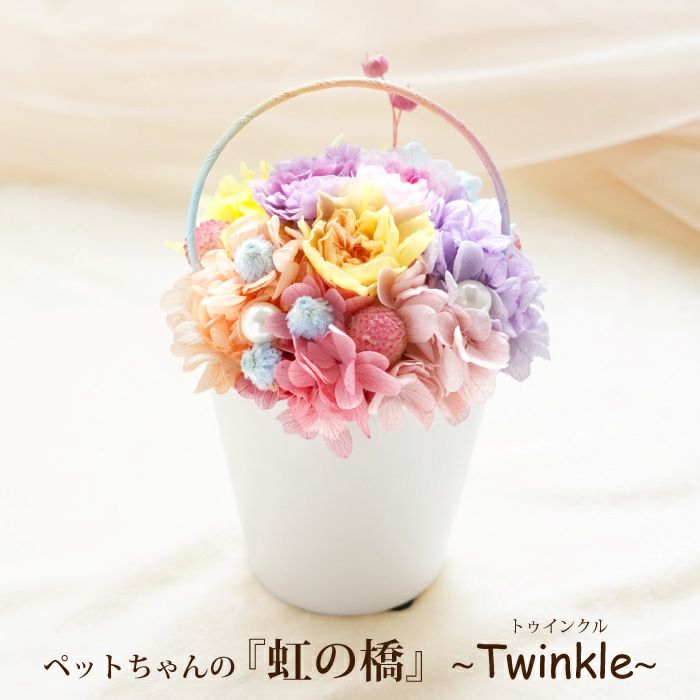 ペットちゃんの虹の橋 Twinkle トゥインクル お供え プリザーブドフラワー