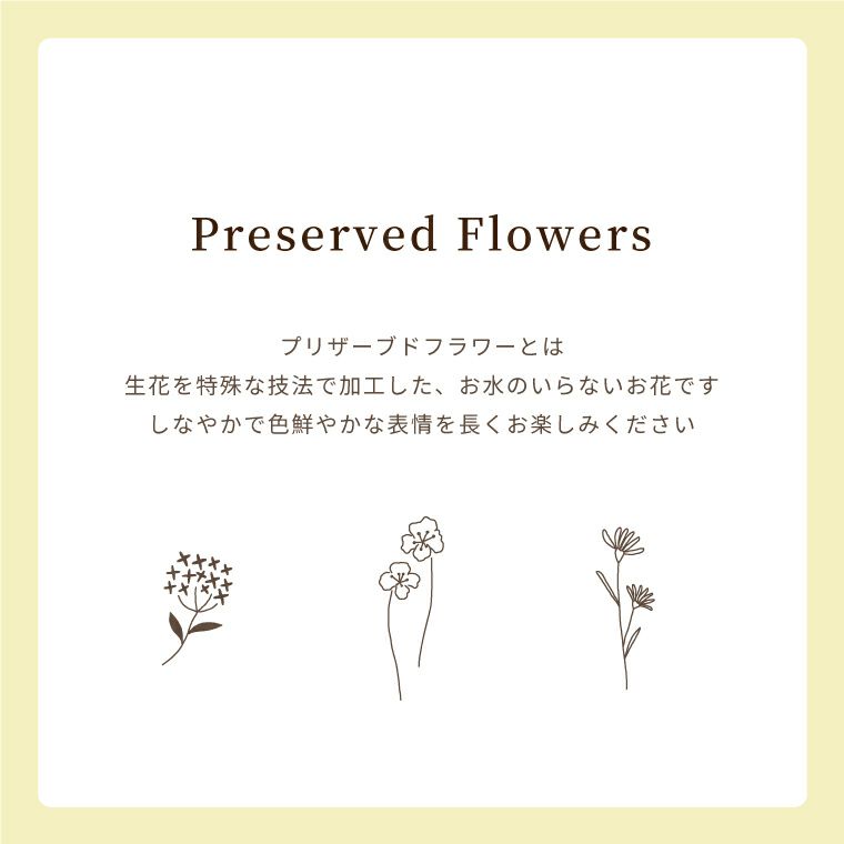 ペットちゃんの虹の橋 トゥインクル・ローズ お供え プリザーブドフラワー