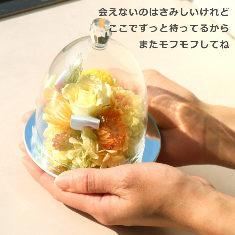 ペットちゃんの虹の橋 お供え花ドーム プリザーブドフラワー