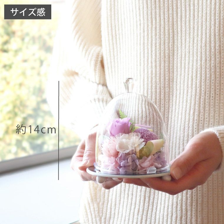 ペットちゃんの虹の橋 お供え花ドーム プリザーブドフラワー