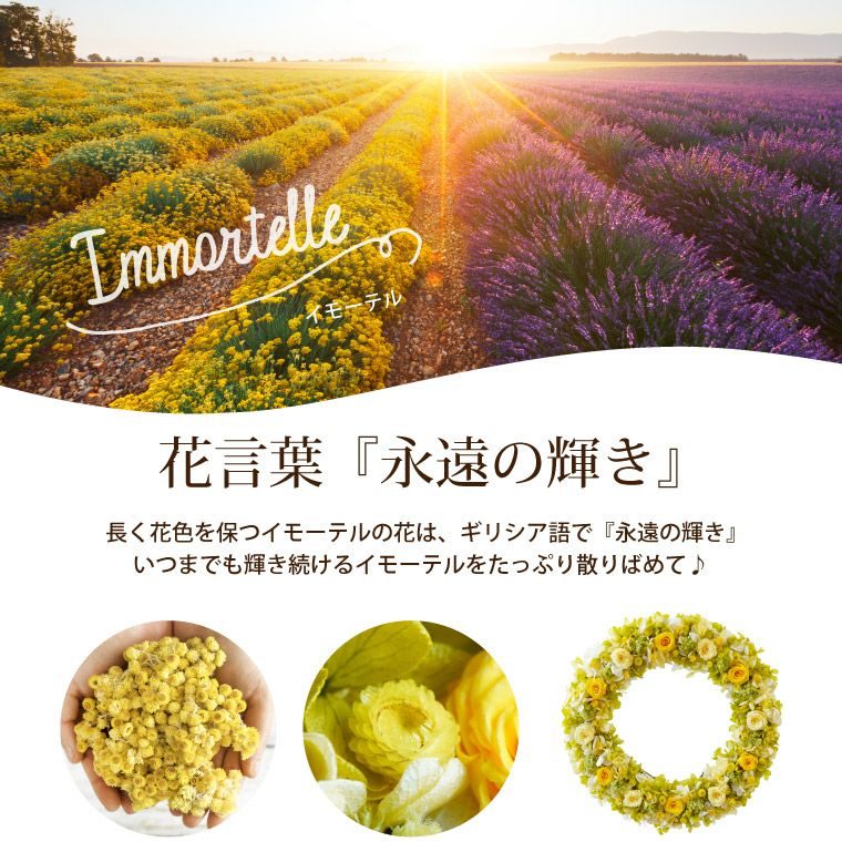 イモーテル スペシャルリース・28cm プリザーブドフラワー