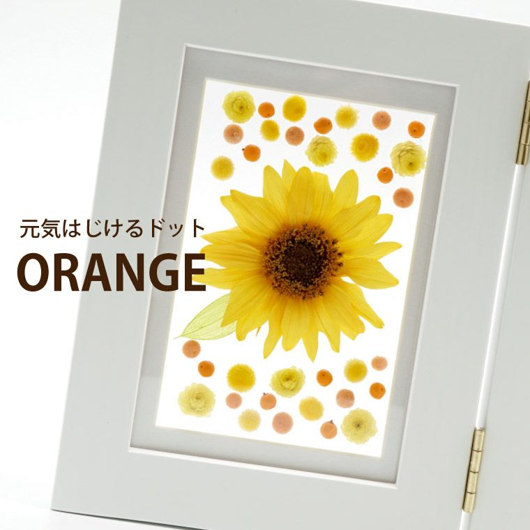 ひまわり フローティング フォトフレーム プリザーブドフラワー