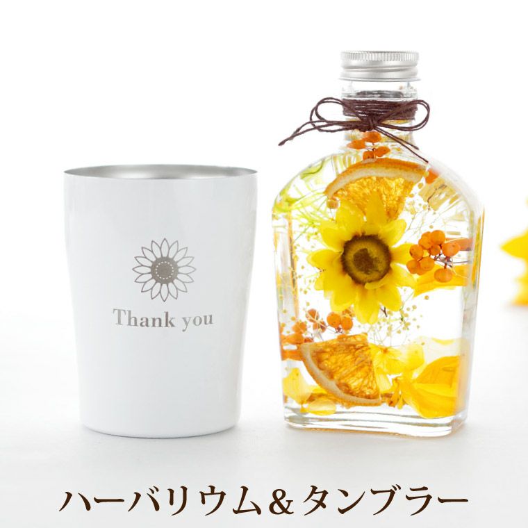 ◇ハーバリウム 247 ひまわりヘリクリサムのbottle *.:。✿*゜¨゜ 