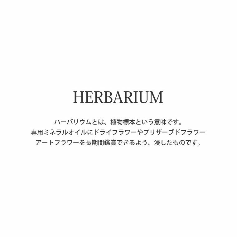 金魚ハーバリウム・Lサイズ