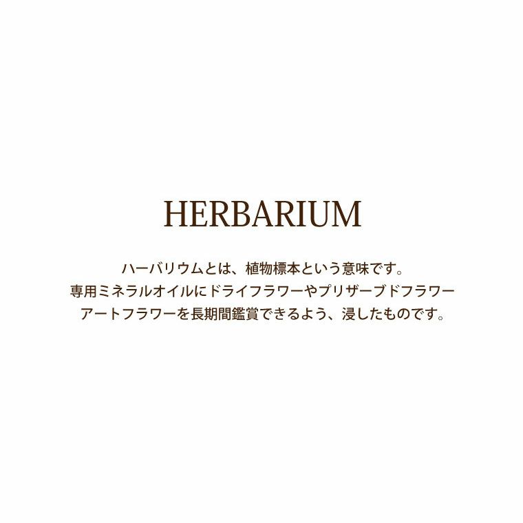 ペットちゃんの虹の橋 ハーバリウム シャイニー お供え