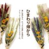 ひまわりスワッグ ドライフラワー
