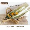 ひまわりスワッグ ドライフラワー