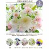 お供え花とお線香＆ろうそく ギフトセット・AC  生花