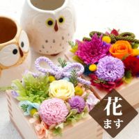 花升プリザ -香- ふくろう湯呑セット プリザーブドフラワー