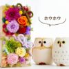 花升プリザ -香- ふくろう湯呑セット プリザーブドフラワー