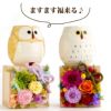 花升プリザ -香- ふくろう湯呑セット プリザーブドフラワー