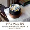 ボックス ラウンド・Mサイズ ドライフラワー