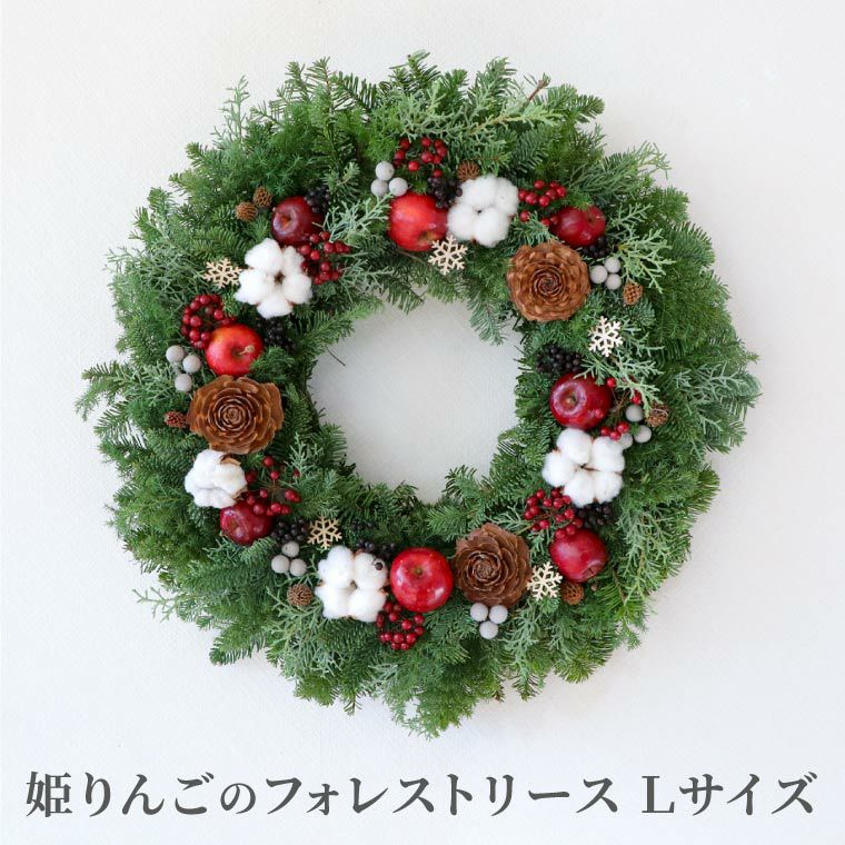 クリスマス 2024 『姫りんごのフォレストクリスマスリース Lサイズ・生 45cm』｜横浜花まりか フラワーギフト店