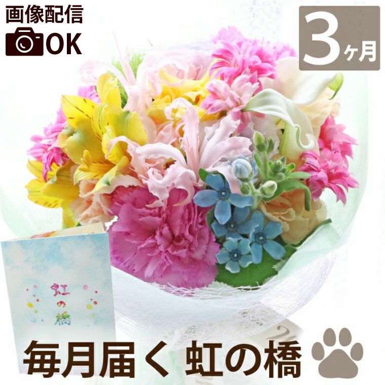 ペットちゃんの虹の橋 定期便 ふわふわコース 3ヶ月 Sサイズ お供え 生花