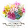 ペットちゃんの虹の橋 定期便 ふわふわコース 3ヶ月 Sサイズ お供え 生花