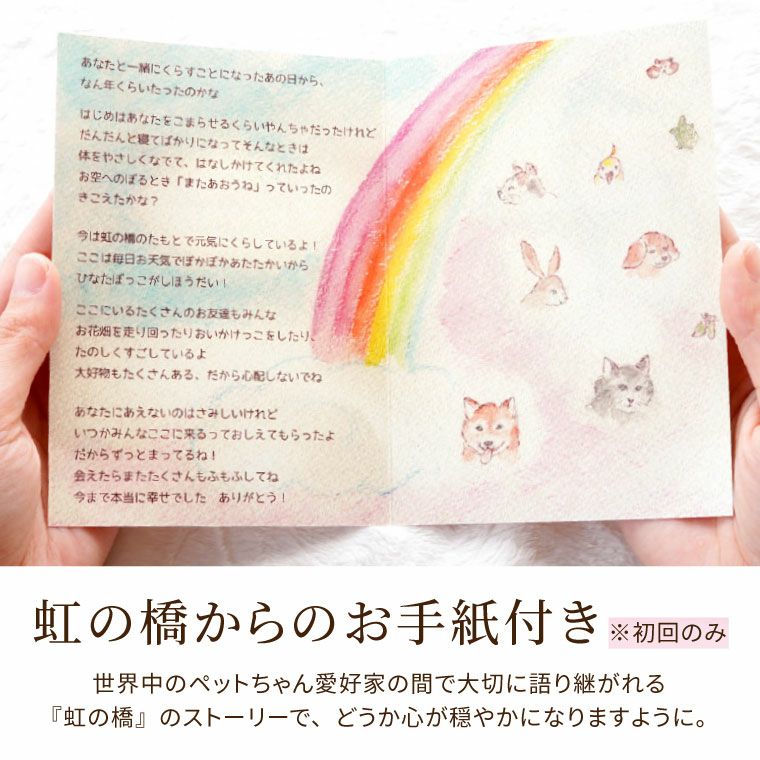 ペットちゃんの虹の橋 定期便 ふわふわコース 3ヶ月 Sサイズ お供え 生花