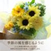 ペットちゃんの虹の橋 定期便 ふわふわコース 3ヶ月 Sサイズ お供え 生花