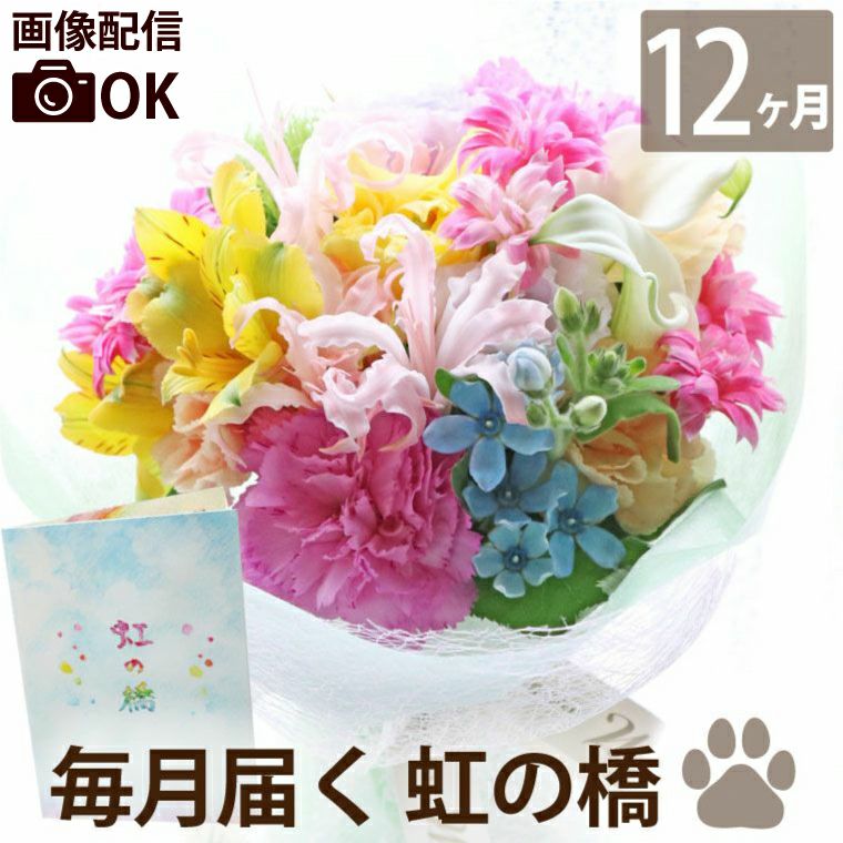 ペットちゃんの虹の橋 定期便 ふわふわコース 12ヶ月 Sサイズ お供え 生花