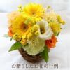 ペットちゃんの虹の橋 定期便 ふわふわコース 12ヶ月 Sサイズ お供え 生花