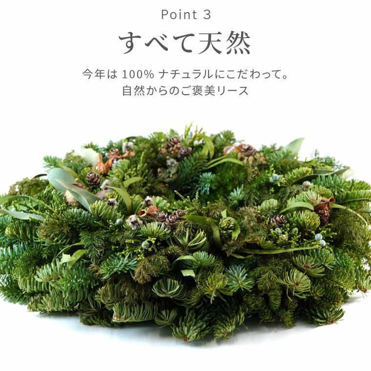 コニファーと月桃のクリスマスリース･生 30cm