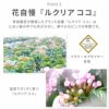 登坂園芸の におい桜 ルクリア ココ 5号鉢