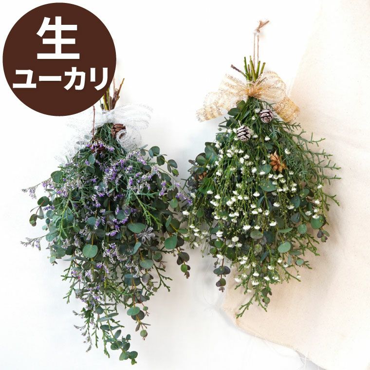 ユーカリのプチスワッグ･生 25cm