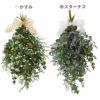 ユーカリのプチスワッグ･生 25cm