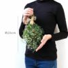 ユーカリのプチスワッグ･生 25cm