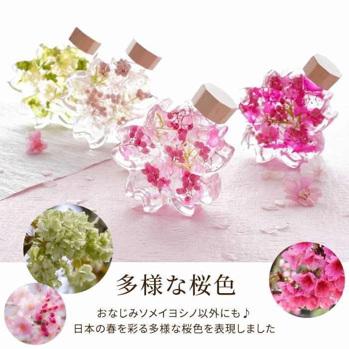サクラノカタチ 桜ハーバリウム