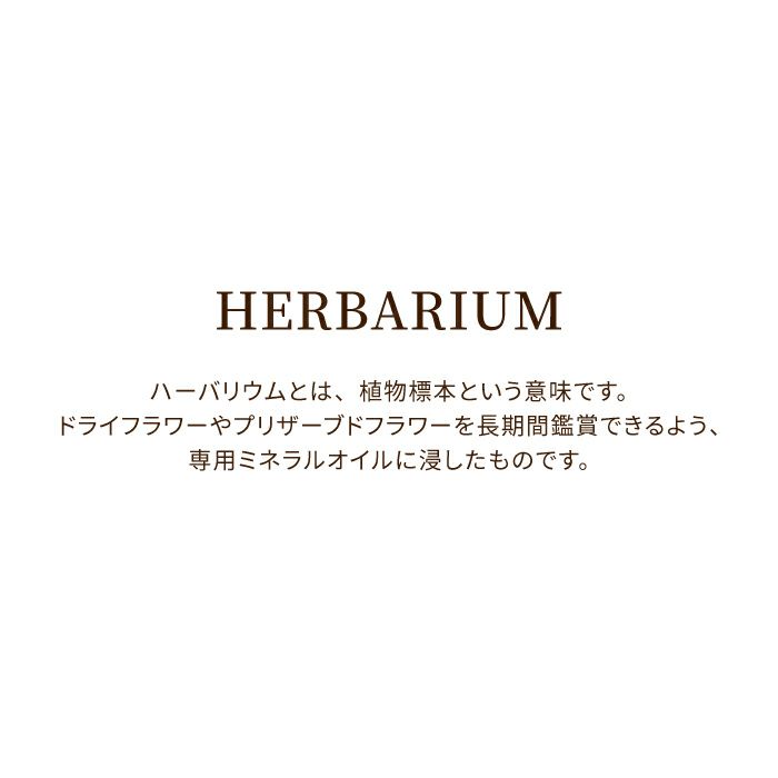 サクラノカタチ 桜ハーバリウム