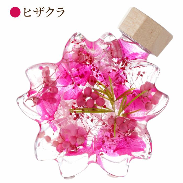 サクラノカタチ 桜ハーバリウム