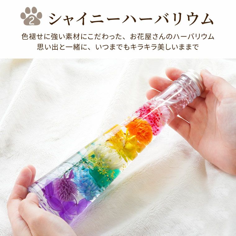 ペットちゃんの虹の橋 トゥインクル＆シャイニーセット お供え プリザーブドフラワー ハーバリウム