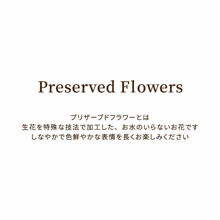 フォトボックス プリザーブドフラワー