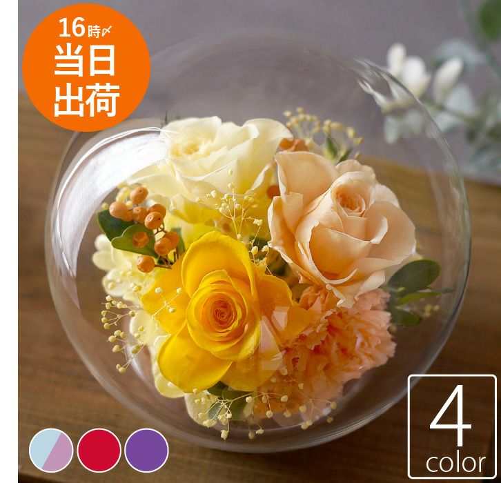 彩りバブルドーム プリザーブドフラワー