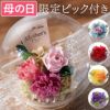 彩りバブルドーム プリザーブドフラワー