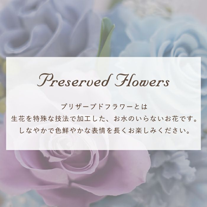 彩りバブルドーム プリザーブドフラワー