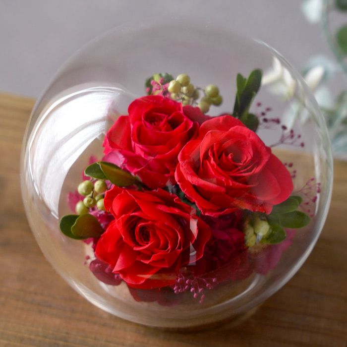 彩りバブルドーム プリザーブドフラワー