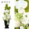 お供え花・ゆうか プリザーブドフラワー