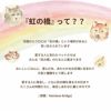 ペットちゃんのお供え 虹の橋ハーバリウムとレインボーコースターのセット