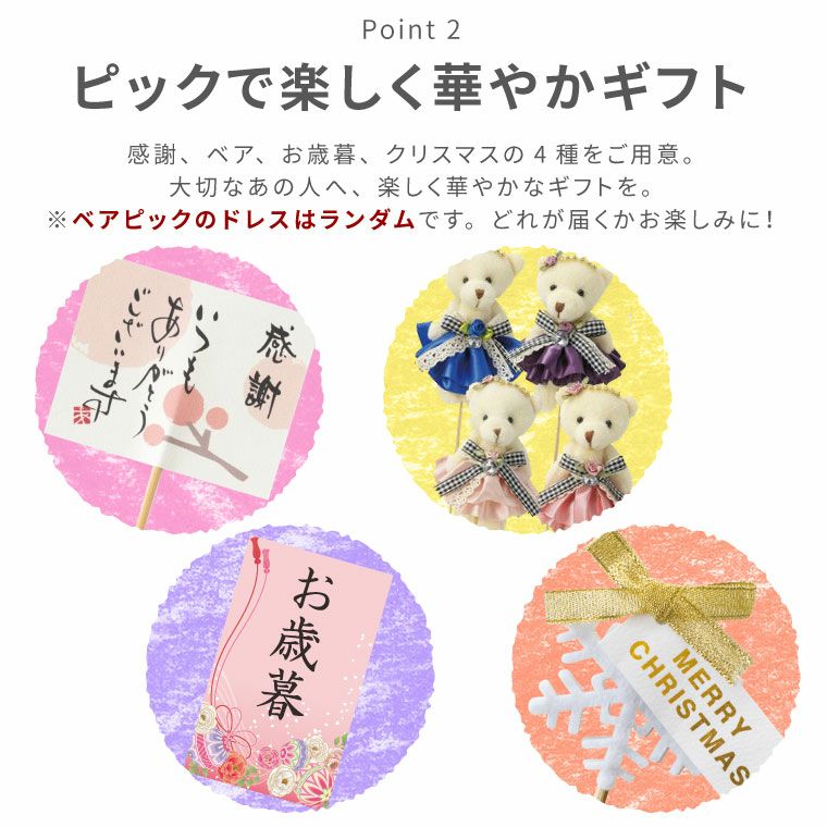 登坂さんのシクラメンの鉢植え・5号鉢