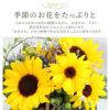 Sorriso -ひまわりアレンジメントorブーケ- 生花